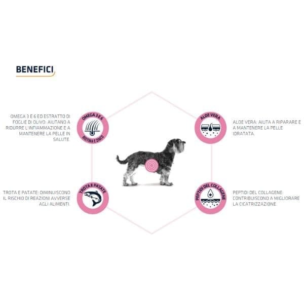 Advance Vet Diets Atopic secco Cani Mini 1,5 kg in Secco 101 Market - Poggibonsi, commercioVirtuoso.it
