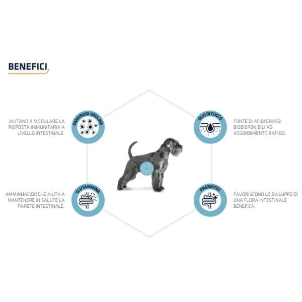 Advance Vet Diets Gastroenteric secco Cani in Secco 101 Market - Poggibonsi, commercioVirtuoso.it
