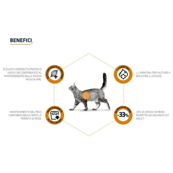 Advance Vet Diets Weight Balance secco Gatti 1,5 kg in Secco 101 Market - Poggibonsi, commercioVirtuoso.it