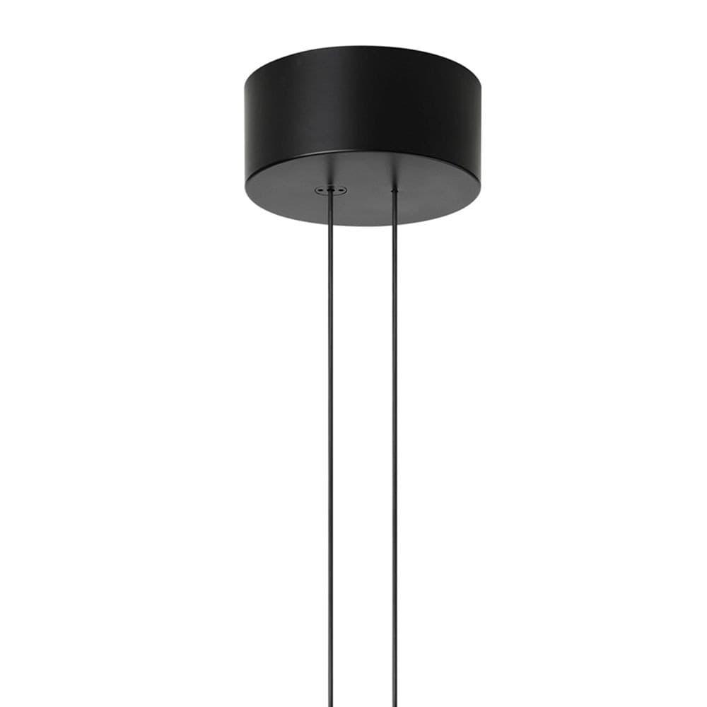 Flos Arrangements Round Medium in Vasi Brilla Luce - Sarzana, commercioVirtuoso.it