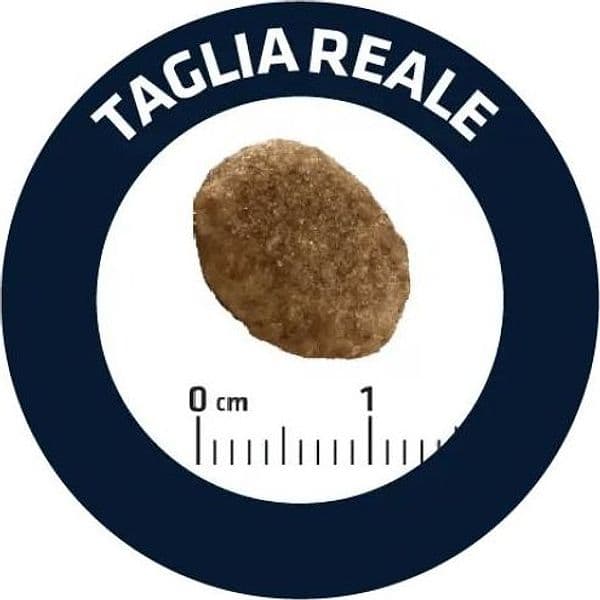 Advance Vet Diets Urinary secco Gatti in Secco 101 Market - Poggibonsi, commercioVirtuoso.it