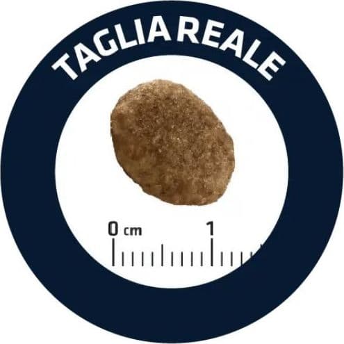 Advance Vet Diets Urinary secco Gatti in Secco 101 Market - Poggibonsi, commercioVirtuoso.it