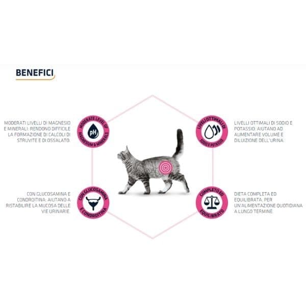 Advance Vet Diets Urinary secco Gatti in Secco 101 Market - Poggibonsi, commercioVirtuoso.it