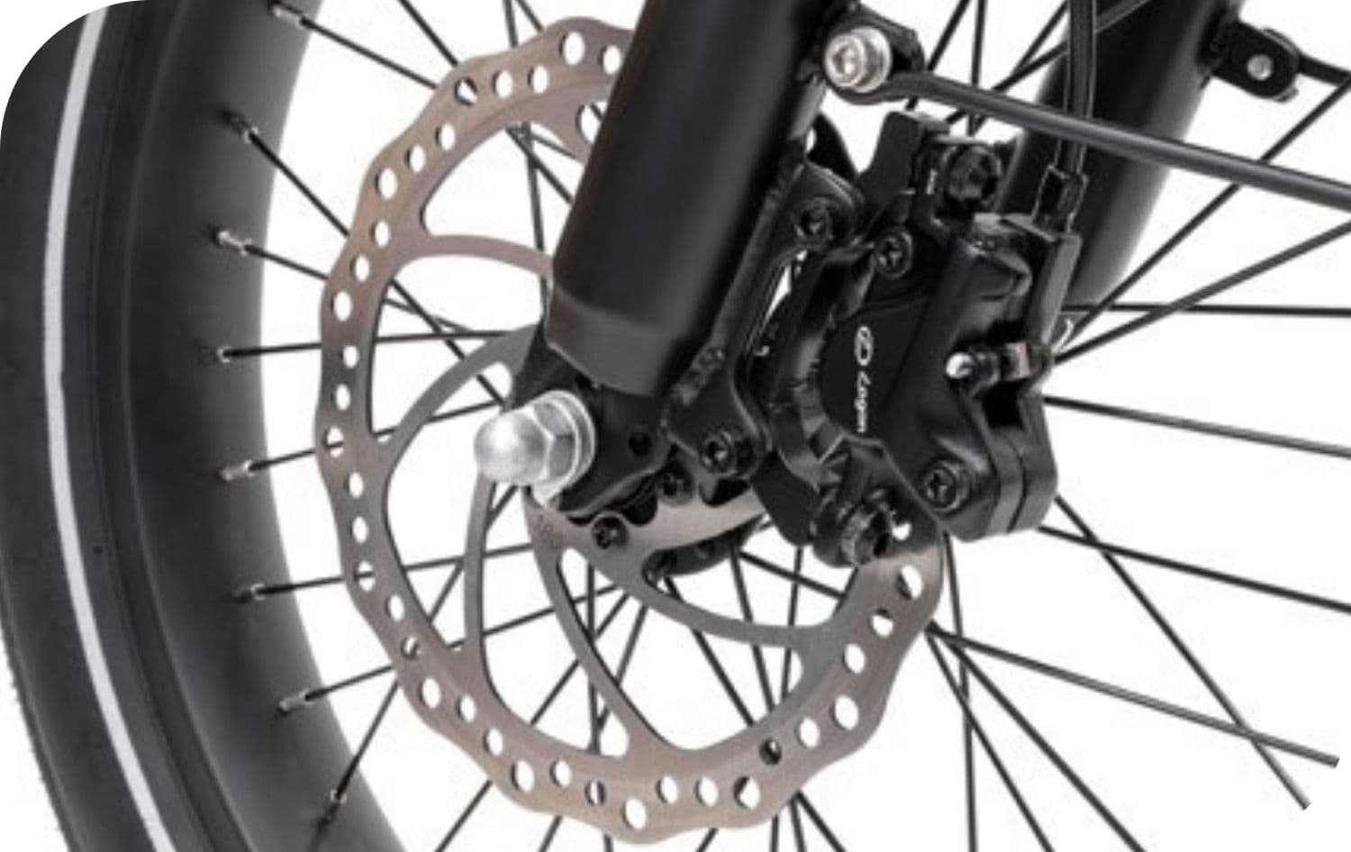 PLATUM E-Bike Van MY 2025 in Bici elettriche Ecoprice.it - Avellino, commercioVirtuoso.it