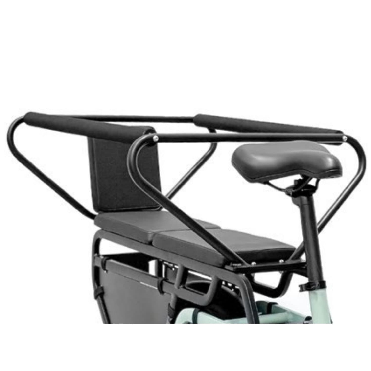 PLATUM E-Bike Van MY 2025 in Bici elettriche Ecoprice.it - Avellino, commercioVirtuoso.it