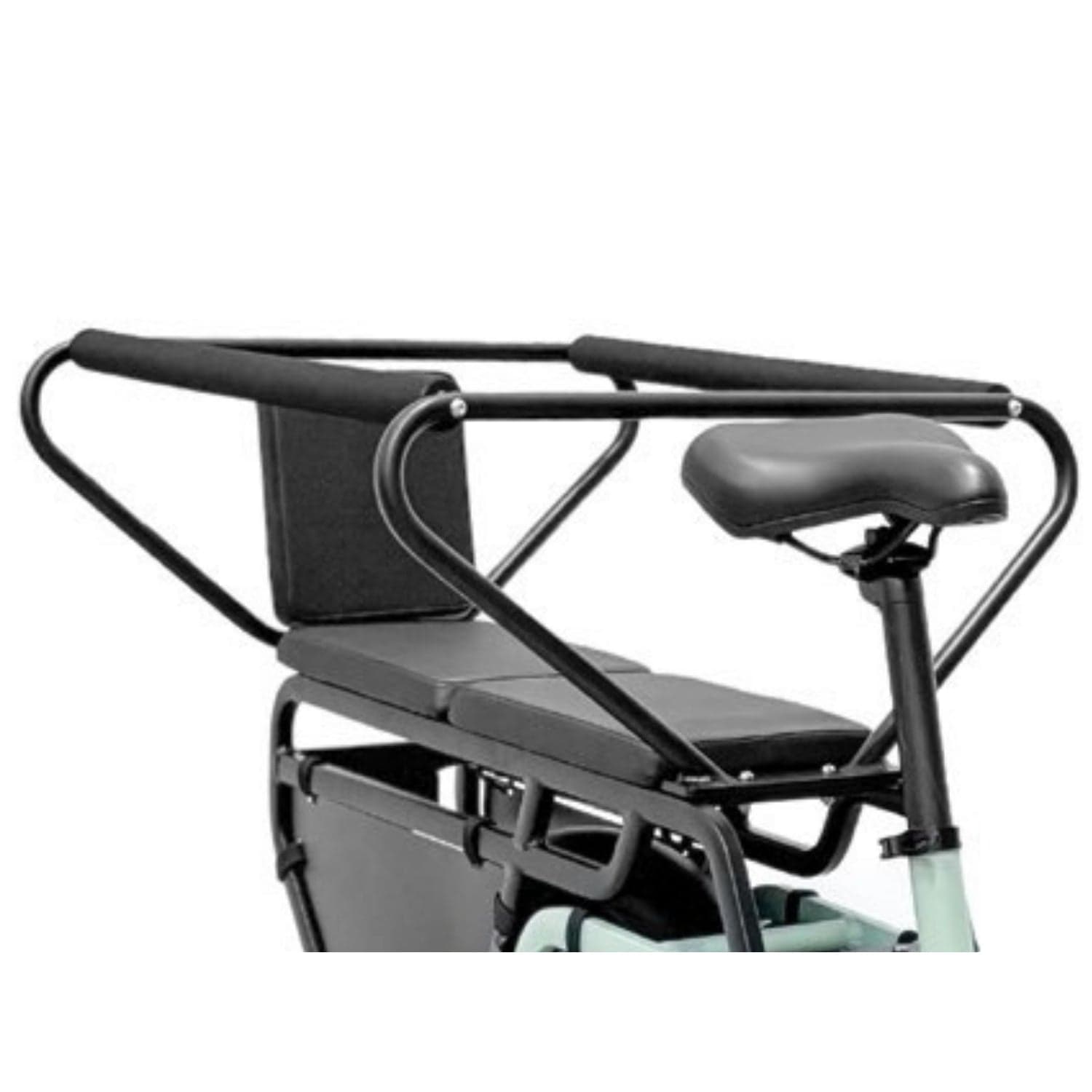 PLATUM E-Bike Van MY 2025 in Bici elettriche Ecoprice.it - Avellino, commercioVirtuoso.it