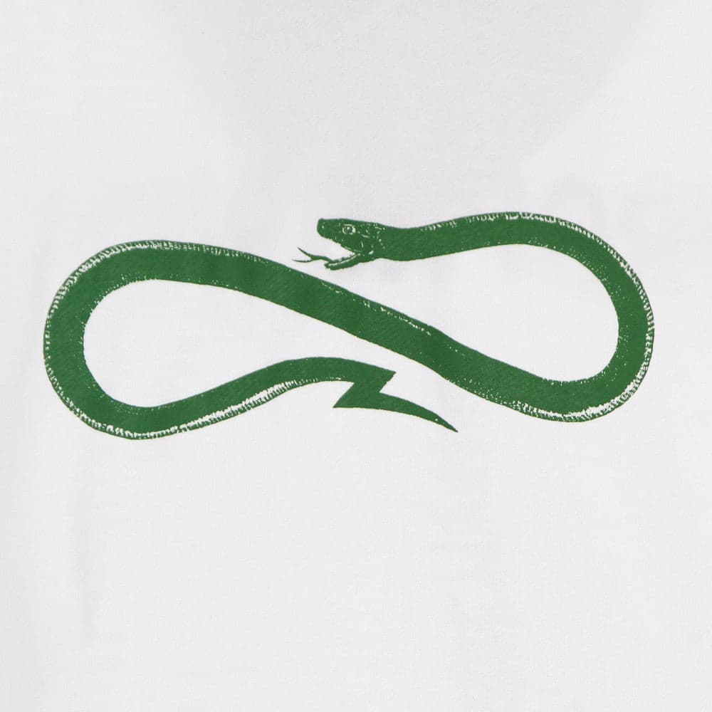 PROPAGANDA Felpa Leggera Cappuccio Uomo Logo Green Hoodie White/green da uomo in Felpe con cappuccio Drestige - Casamassima, commercioVirtuoso.it