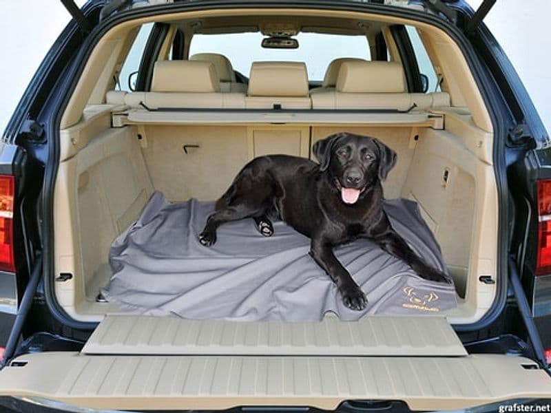 Coperta leggera per cani insetto repellente Bodyguard Dog in Copertine 101 Market - Poggibonsi, commercioVirtuoso.it
