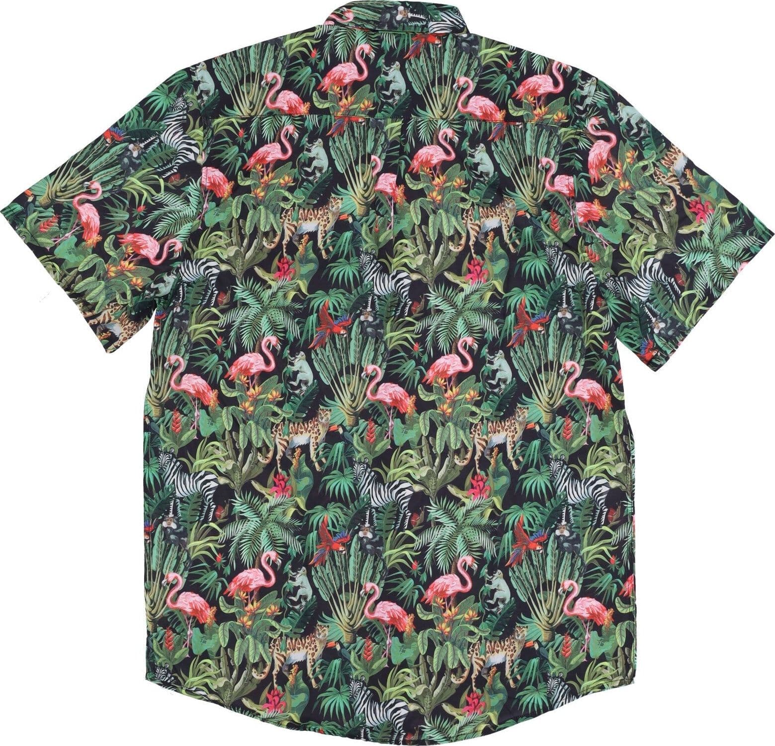 WESC Camicia Manica Corta Uomo Oden Wildlife Aop Shirt Multi da uomo in Camicie casual Drestige - Casamassima, commercioVirtuoso.it