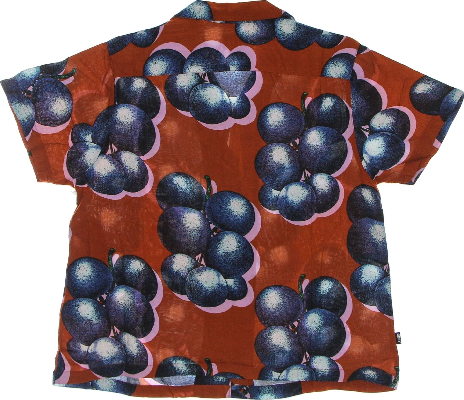 OBEY Camicia Manica Corta Donna Blueberries Relaxed Shirt Bombay Brown Multi da donna in Bluse e camicie Drestige - Casamassima, commercioVirtuoso.it
