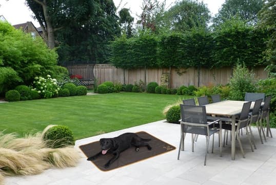 Coperta leggera per cani insetto repellente Bodyguard Dog in Copertine 101 Market - Poggibonsi, commercioVirtuoso.it