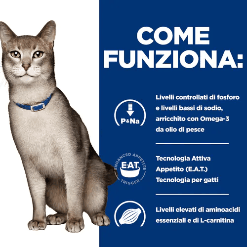 Hill's Prescription Diet Kidney Care umido Gatti Adulti pollo e verdure 82 gr in Secco 101 Market - Poggibonsi, commercioVirtuoso.it