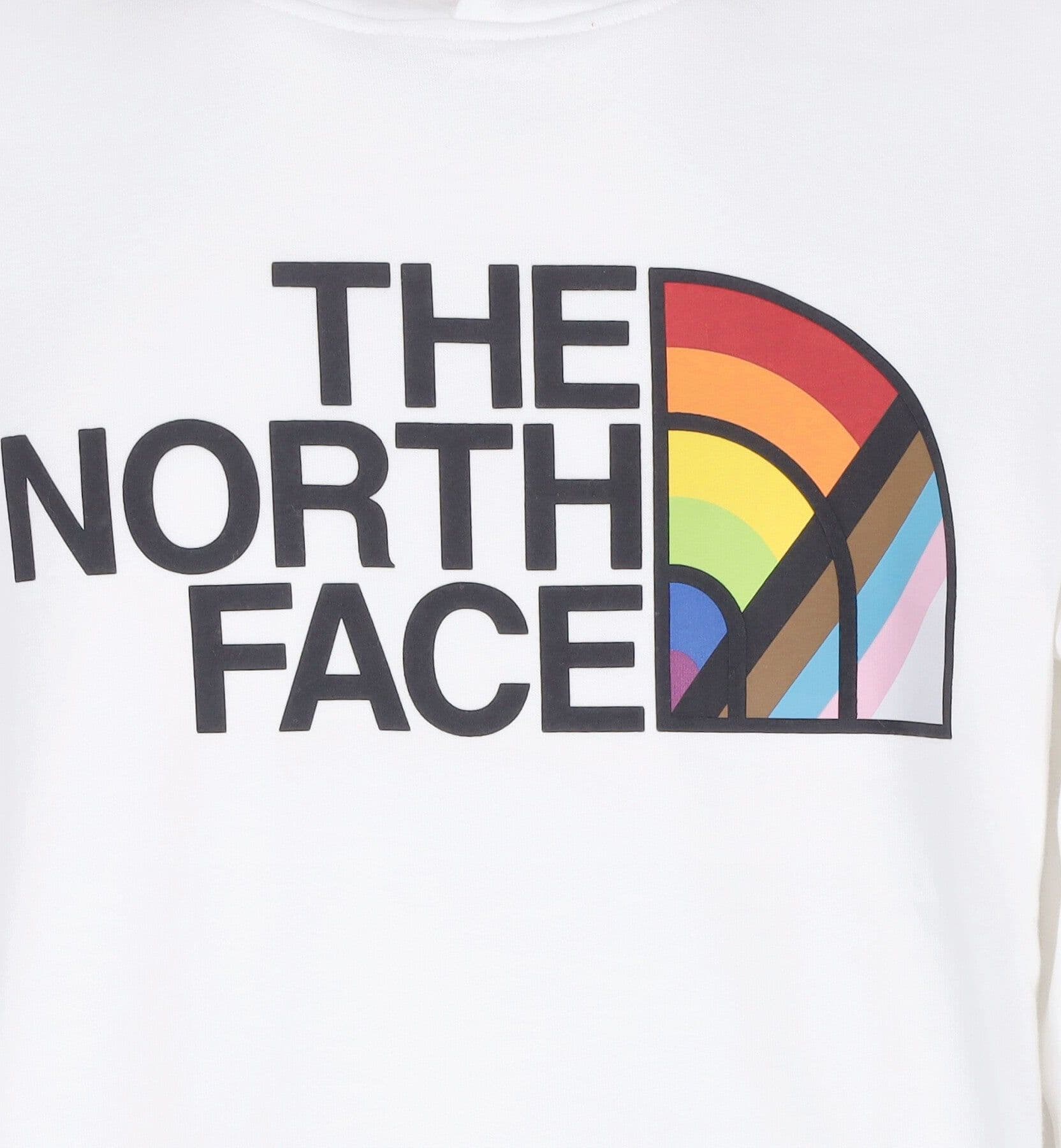 THE NORTH FACE Felpa Cappuccio Uomo Pride Pullover Hoodie Tnf White da uomo in Felpe con cappuccio Drestige - Casamassima, commercioVirtuoso.it