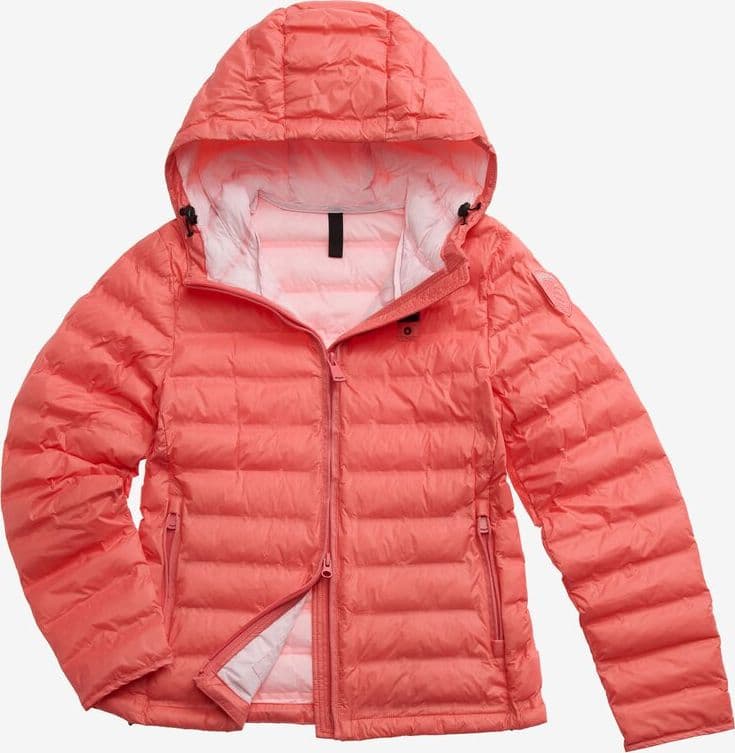 Blauer Giubbino donna imbottito ovatta corto - capospalla donna 25SBLDC02232 539 in Giacche Broadway Red - Barletta, commercioVirtuoso.it