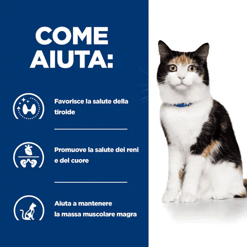 Hill's Prescription Diet Y/D Thyroid Care umido Gatti Adulti pollo 156 gr in Umido 101 Market - Poggibonsi, commercioVirtuoso.it
