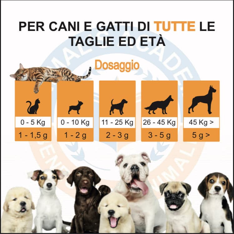 BioIntestinal - Efficace x problemi Gastrointestinali in Digestivi Petbestchoice - Loreo, commercioVirtuoso.it