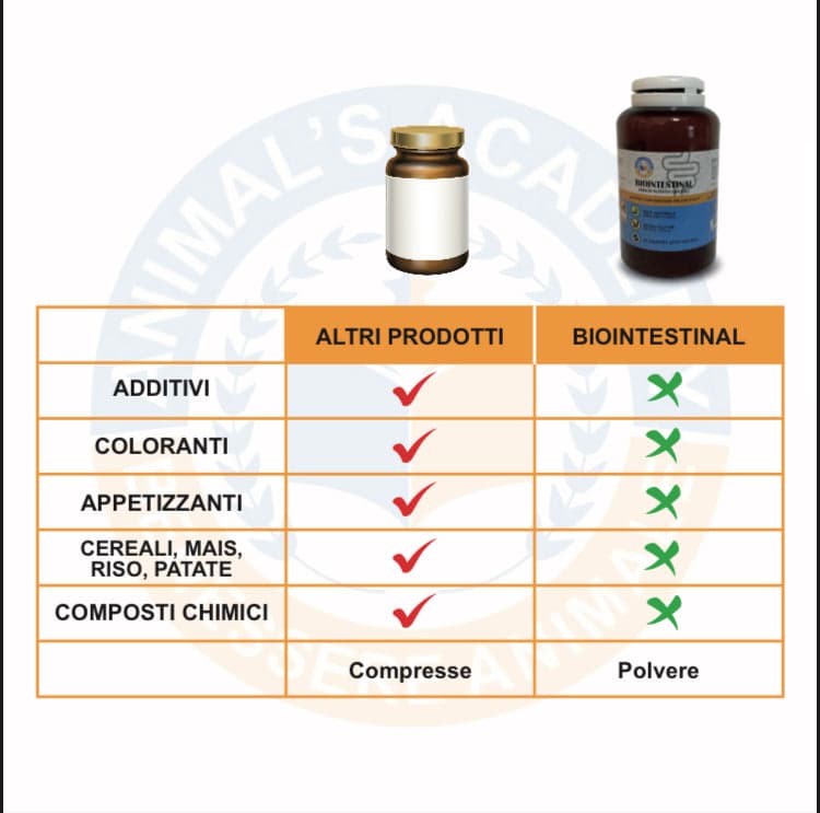 BioIntestinal - Efficace x problemi Gastrointestinali in Digestivi Petbestchoice - Loreo, commercioVirtuoso.it