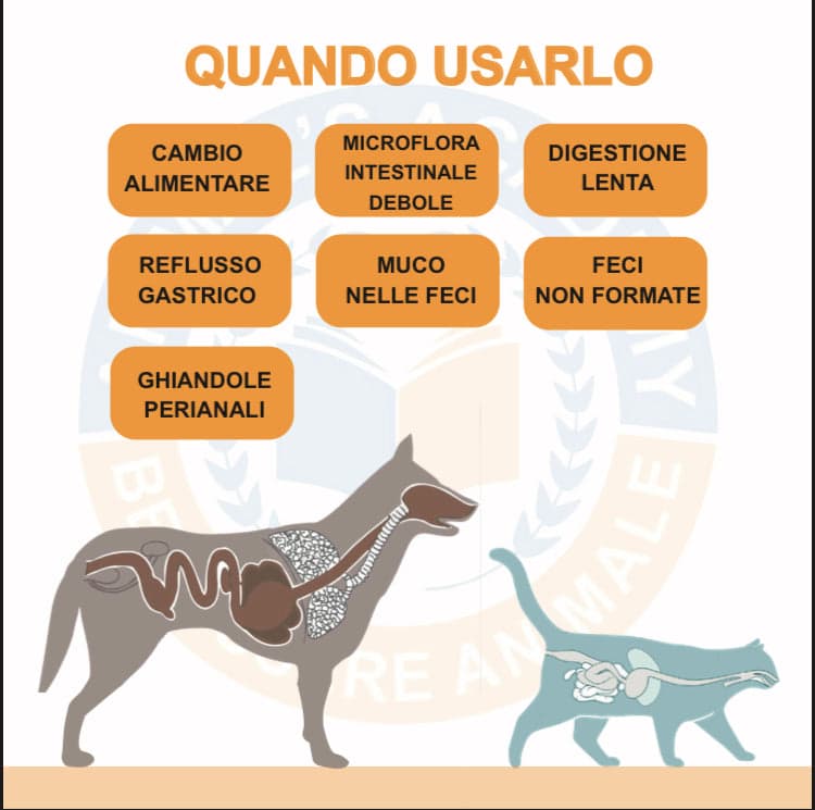 BioIntestinal - Efficace x problemi Gastrointestinali in Digestivi Petbestchoice - Loreo, commercioVirtuoso.it