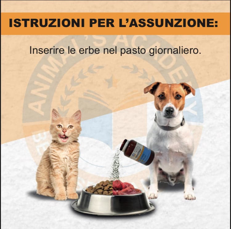 BioIntestinal - Efficace x problemi Gastrointestinali in Digestivi Petbestchoice - Loreo, commercioVirtuoso.it