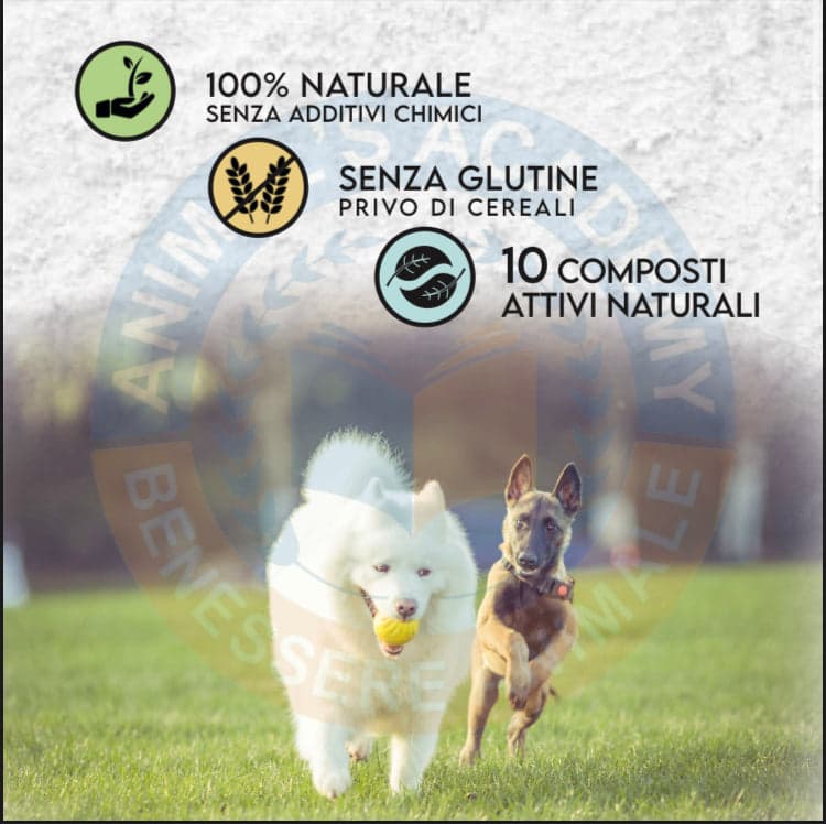 BioIntestinal - Efficace x problemi Gastrointestinali in Digestivi Petbestchoice - Loreo, commercioVirtuoso.it