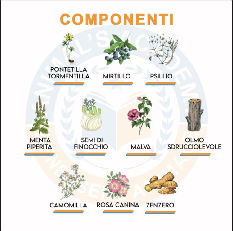 BioIntestinal - Efficace x problemi Gastrointestinali in Digestivi Petbestchoice - Loreo, commercioVirtuoso.it