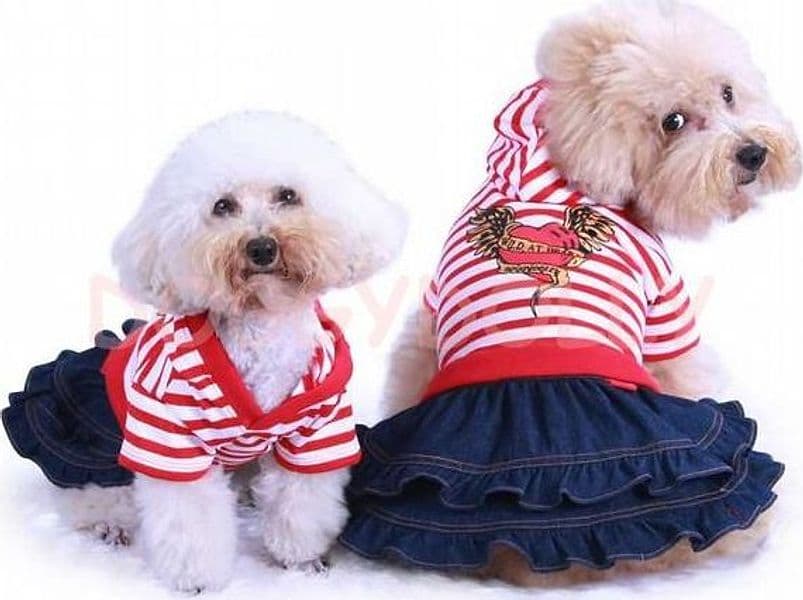 Abitino per cani Red Stripe skirt TankTop Doggydolly in Abiti 101 Market - Poggibonsi, commercioVirtuoso.it