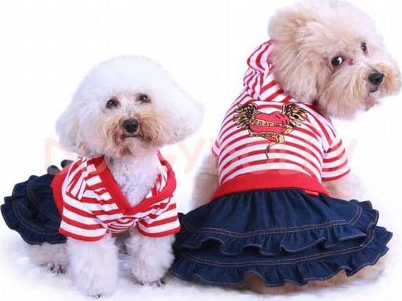 Abitino per cani Red Stripe skirt TankTop Doggydolly in Abiti 101 Market - Poggibonsi, commercioVirtuoso.it