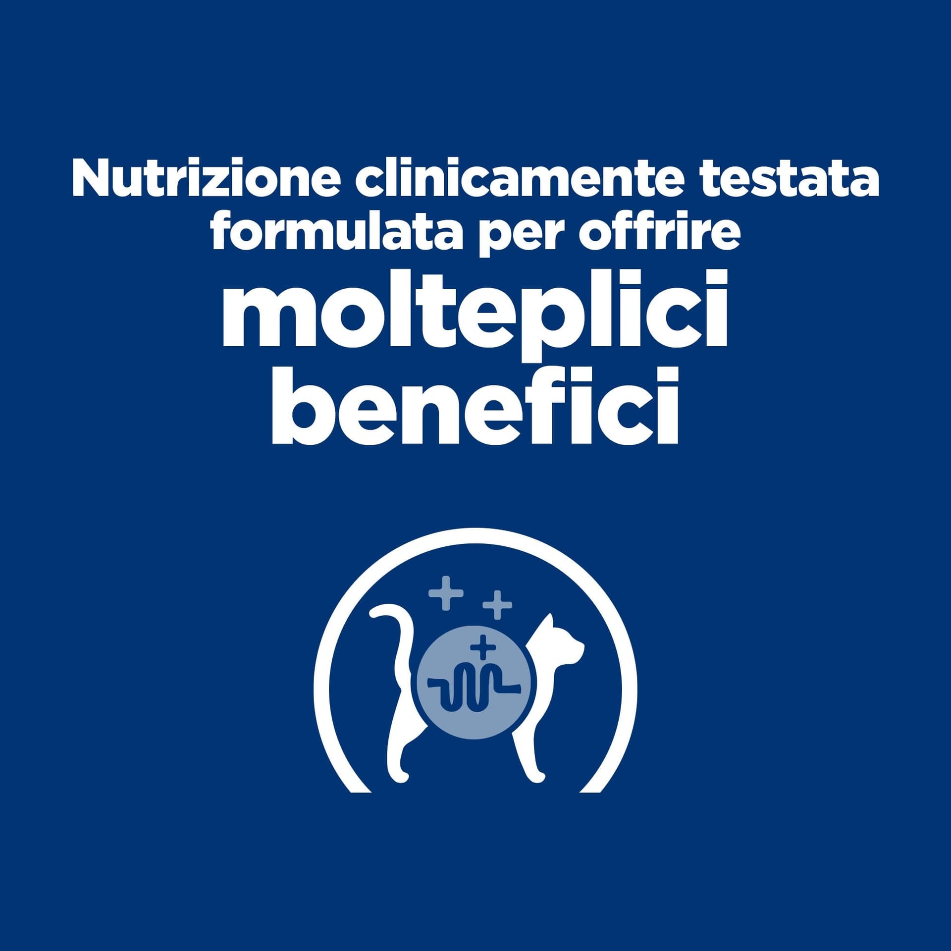 Hill's Prescription Diet W/D Multi-Benefit secco Gatti Adulti pollo 1,5 kg in Secco 101 Market - Poggibonsi, commercioVirtuoso.it