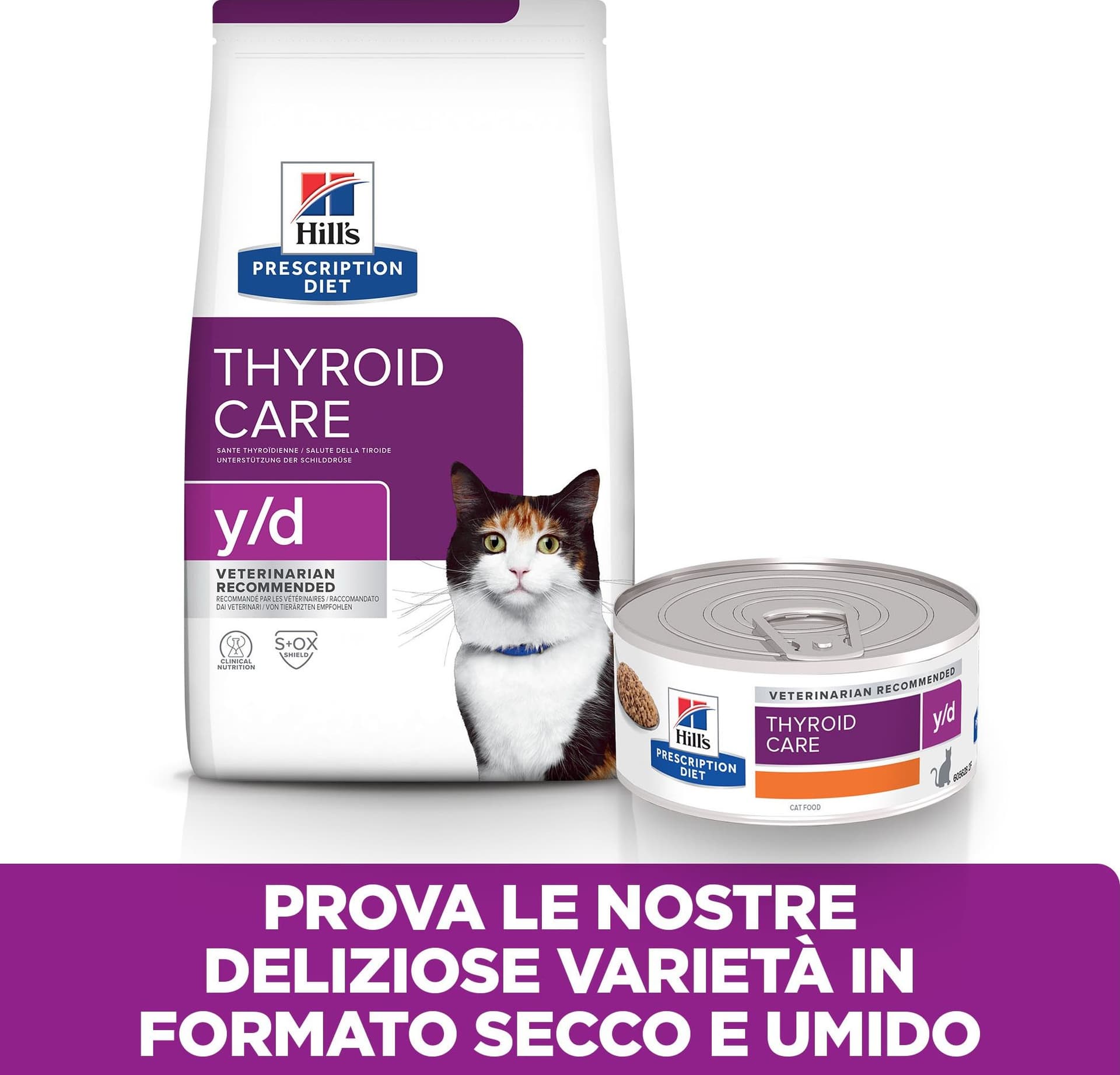 Hill's Prescription Diet Y/D Thyroid Care secco Gatti Adulti 1,5 kg in Secco 101 Market - Poggibonsi, commercioVirtuoso.it