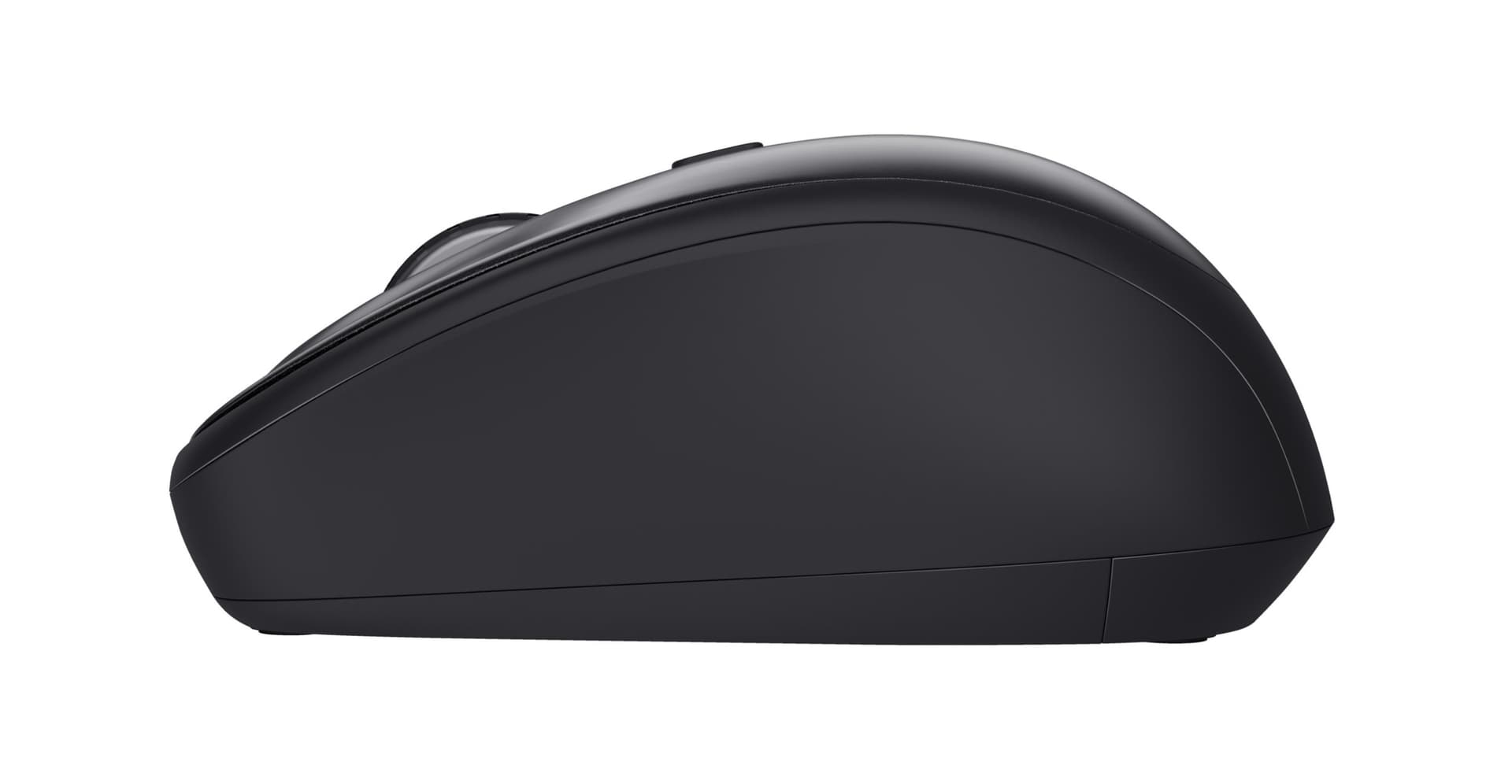 Trust Mouse Wireless TM-201 – Alimentazione con Batteria AA, Connessione USB-A, Nero in  Ecoprice.it - Avellino, commercioVirtuoso.it