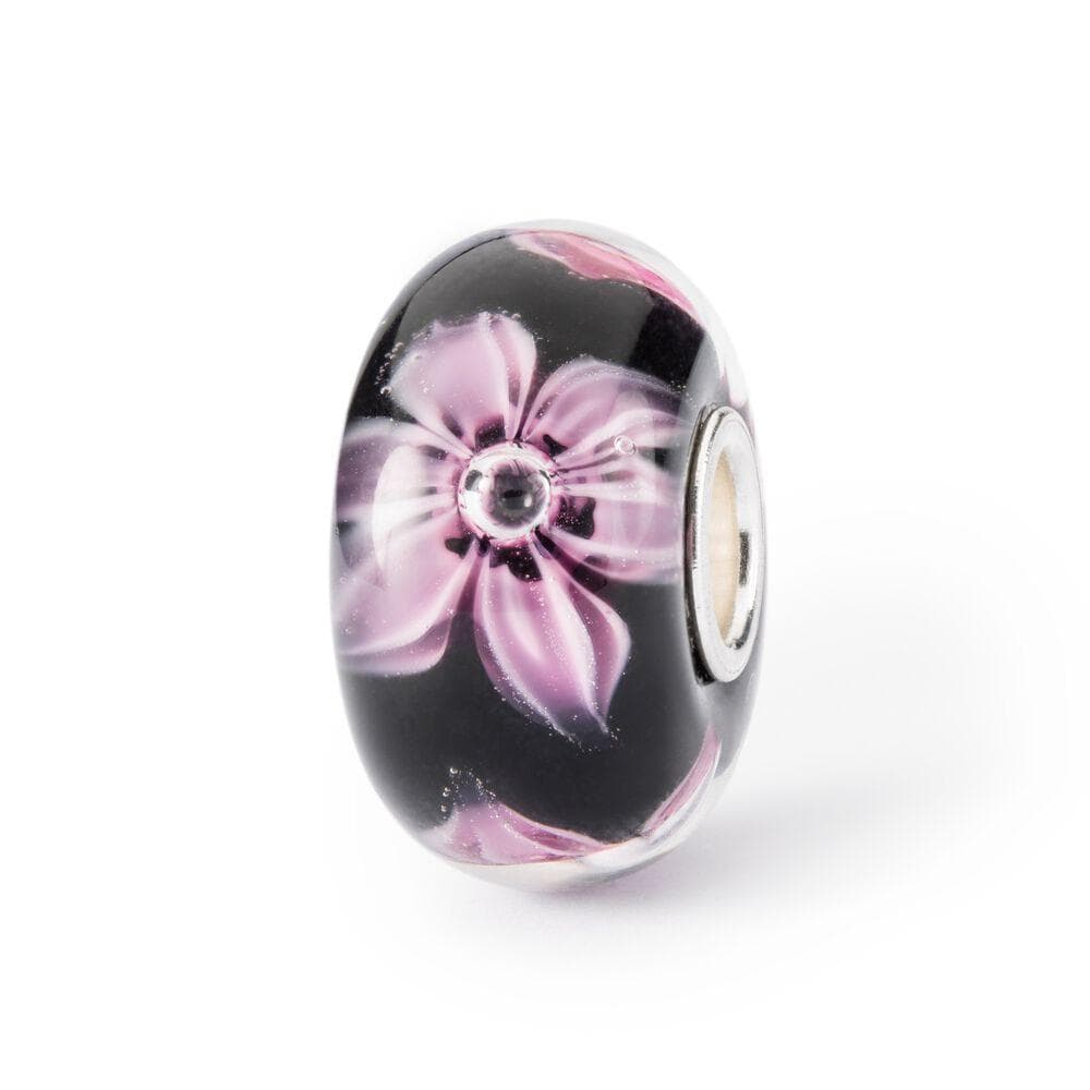 Trollbeads - Set Magia d'Autunno in Bead Charm Alba Gioielli - Casoria, commercioVirtuoso.it