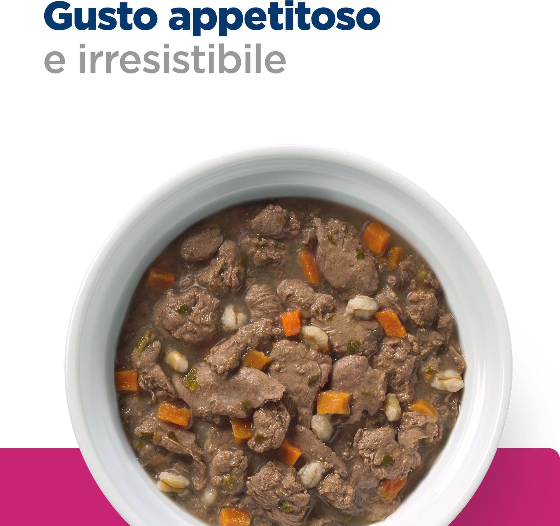 Hill's Prescription Diet Gastrointestinal Biome umido Gatti Adulti pollo e verdure 82 gr in Secco 101 Market - Poggibonsi, commercioVirtuoso.it