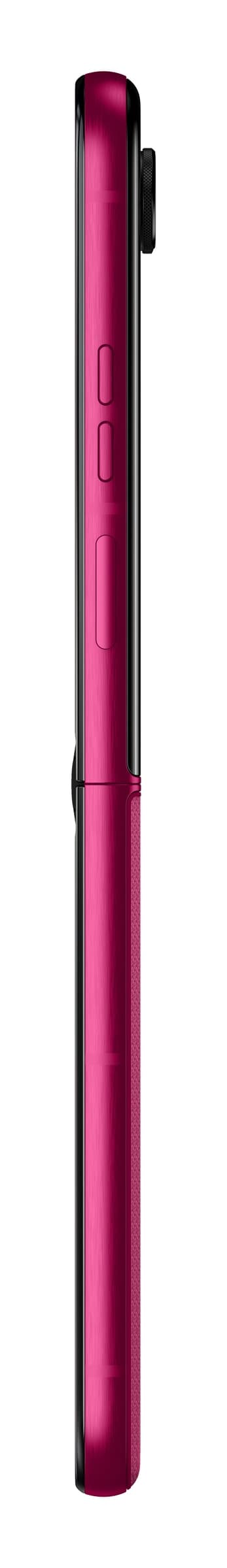 Motorola Razr 60 Ultra 16+512GB 6.96" 5G Pink Cabaret EU in Cellulari e Smartphone Ecoprice.it - Avellino, commercioVirtuoso.it
