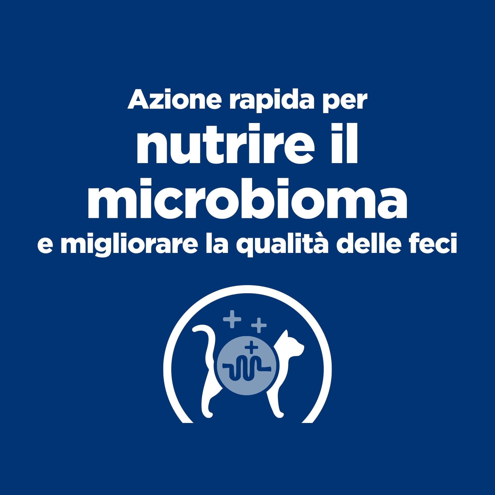 Hill's Prescription Diet Gastrointestinal Biome umido Gatti Adulti pollo e verdure 82 gr in Secco 101 Market - Poggibonsi, commercioVirtuoso.it