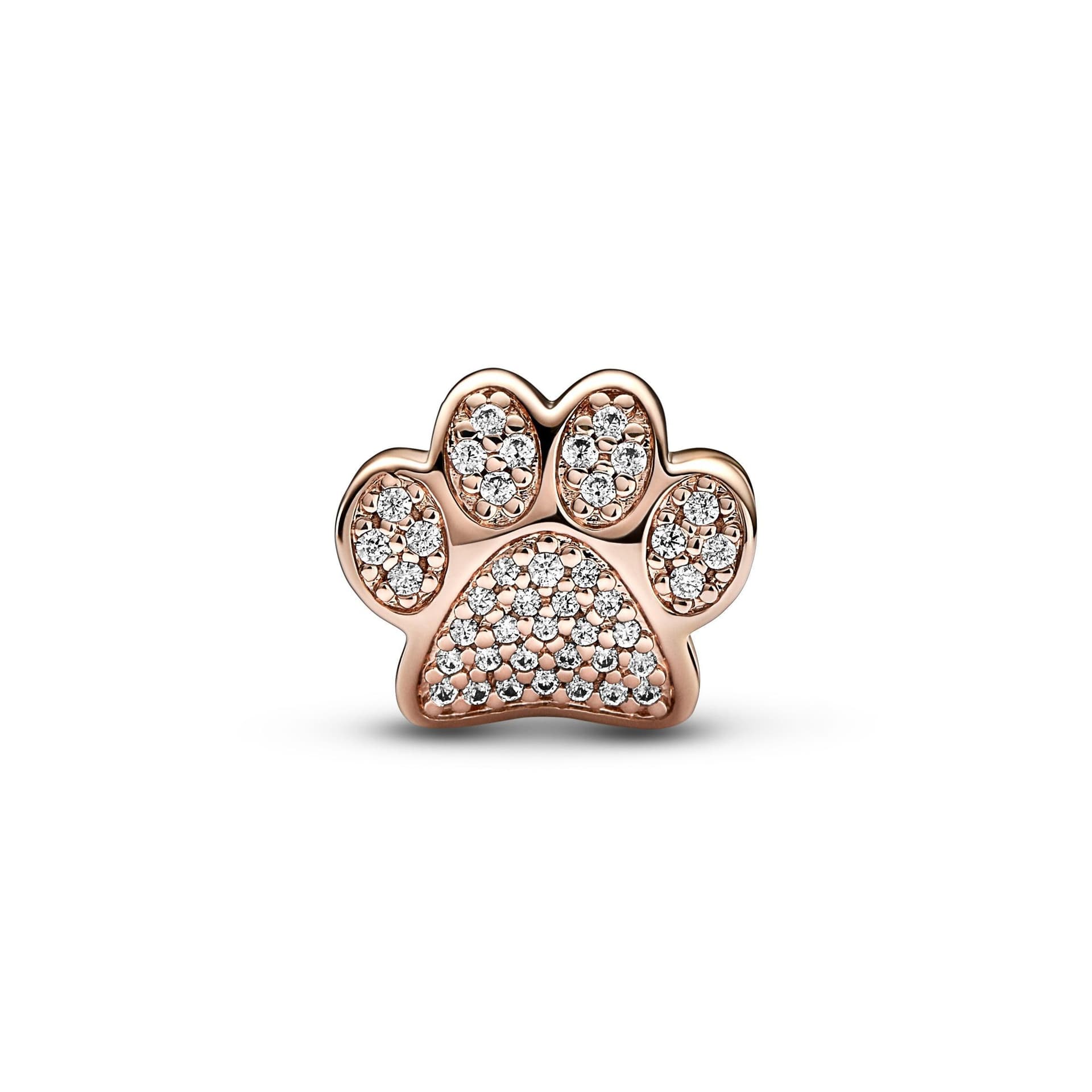 Pandora - Charm Zampina in Bead Charm Alba Gioielli - Casoria, commercioVirtuoso.it