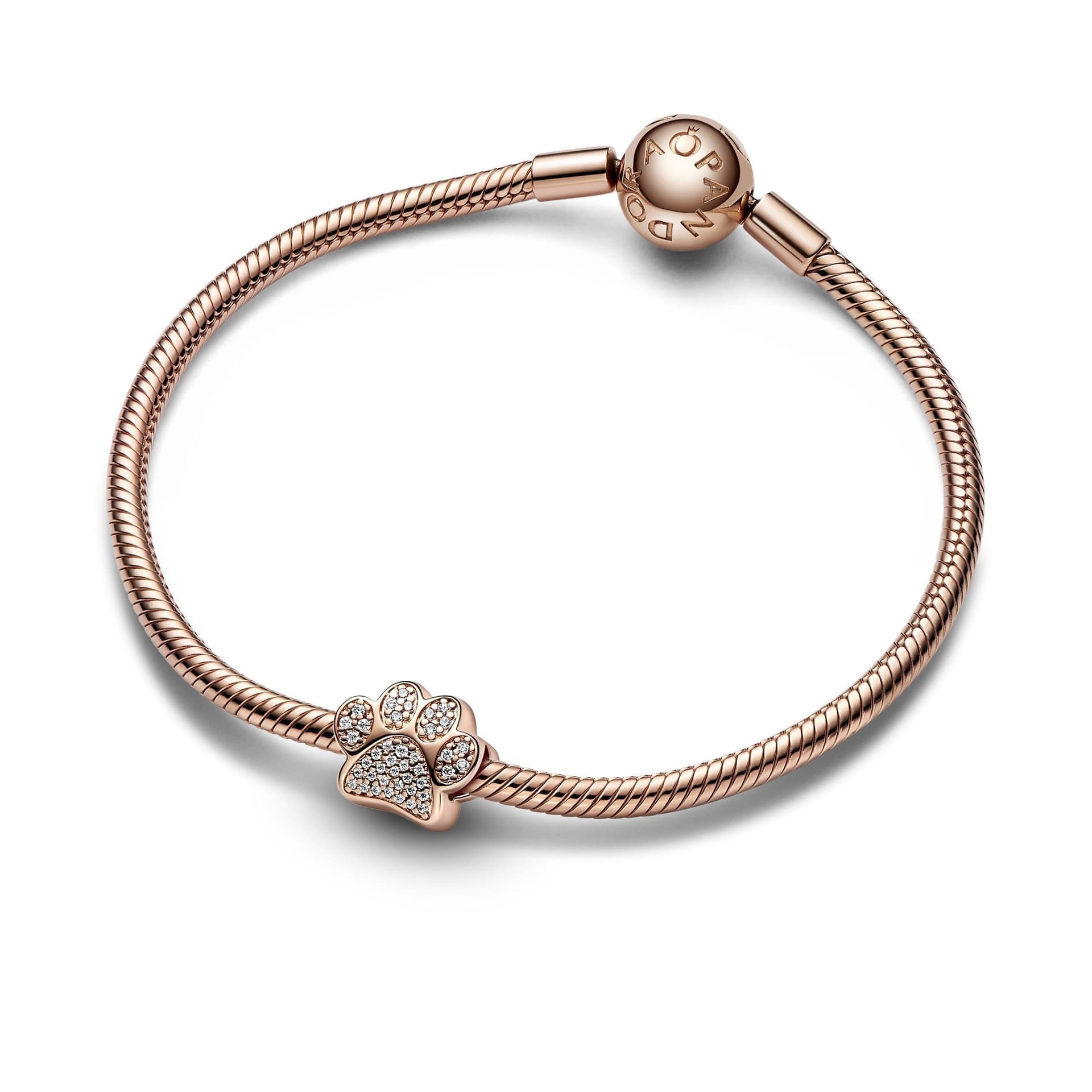 Pandora - Charm Zampina in Bead Charm Alba Gioielli - Casoria, commercioVirtuoso.it