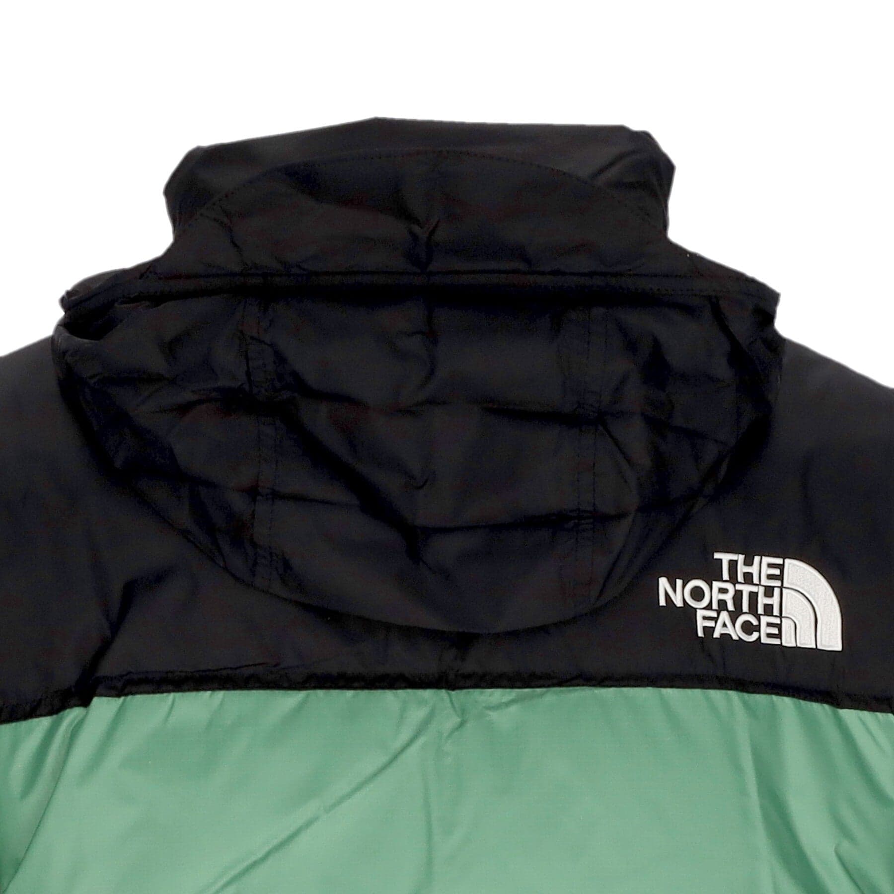 THE NORTH FACE Piumino Uomo 1996 Retro Nuptse Deep Grass Green da uomo in Giacche Drestige - Casamassima, commercioVirtuoso.it