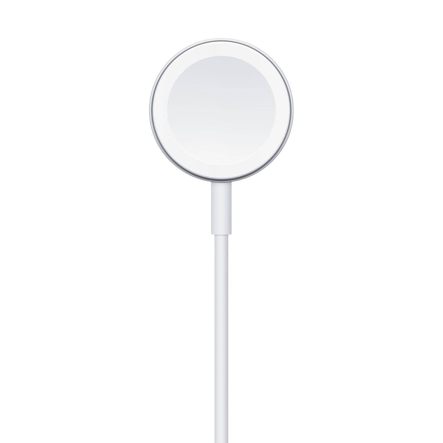 Apple Cavo Magnetico Ricarica Apple Watch USB-A 1m MW6A3ZM/A in Stazioni di ricarica Ecoprice.it - Avellino, commercioVirtuoso.it