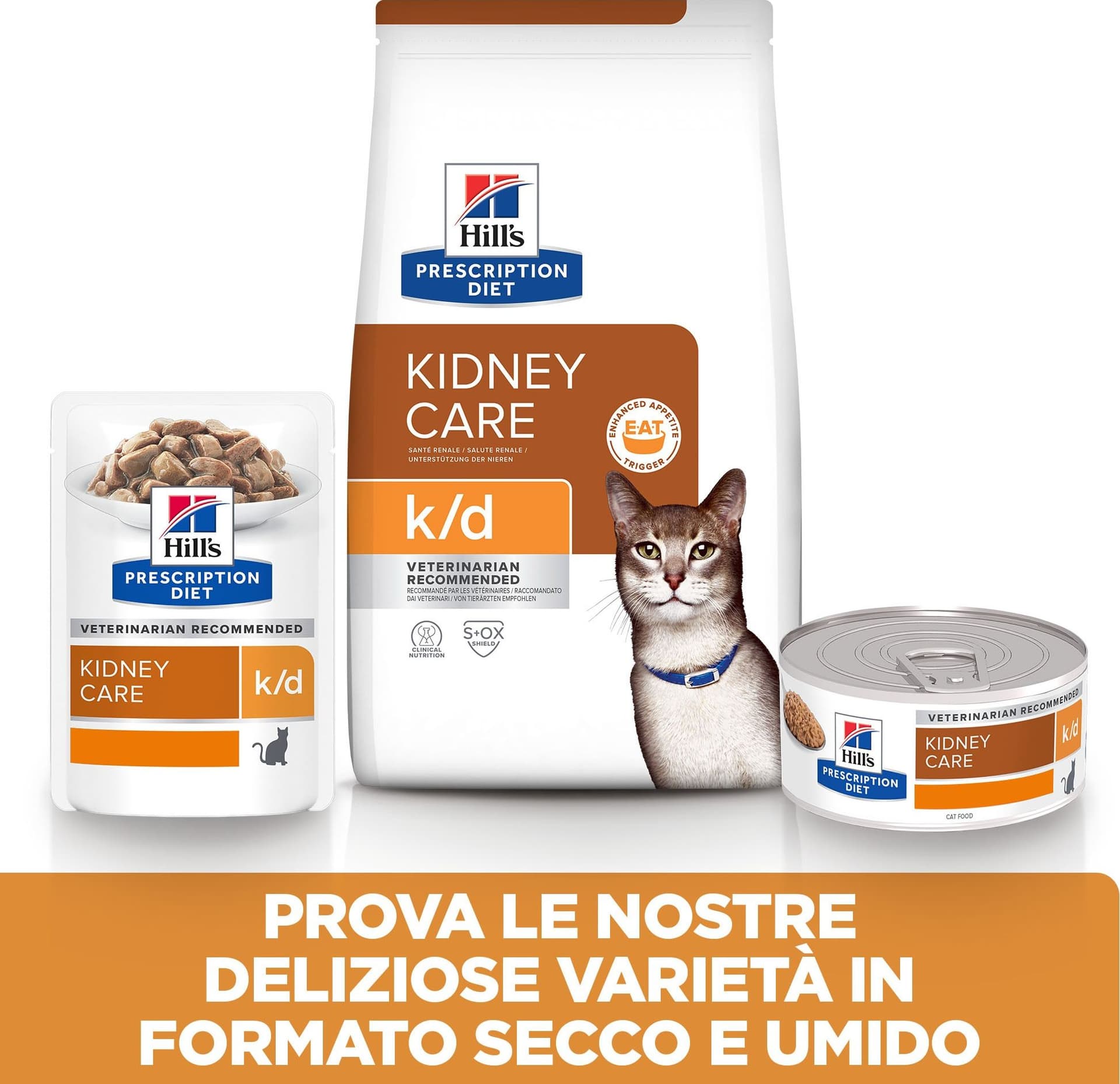 Hill's Prescription Diet Kidney Care umido Gatti Adulti salmone 85 gr in Umido 101 Market - Poggibonsi, commercioVirtuoso.it