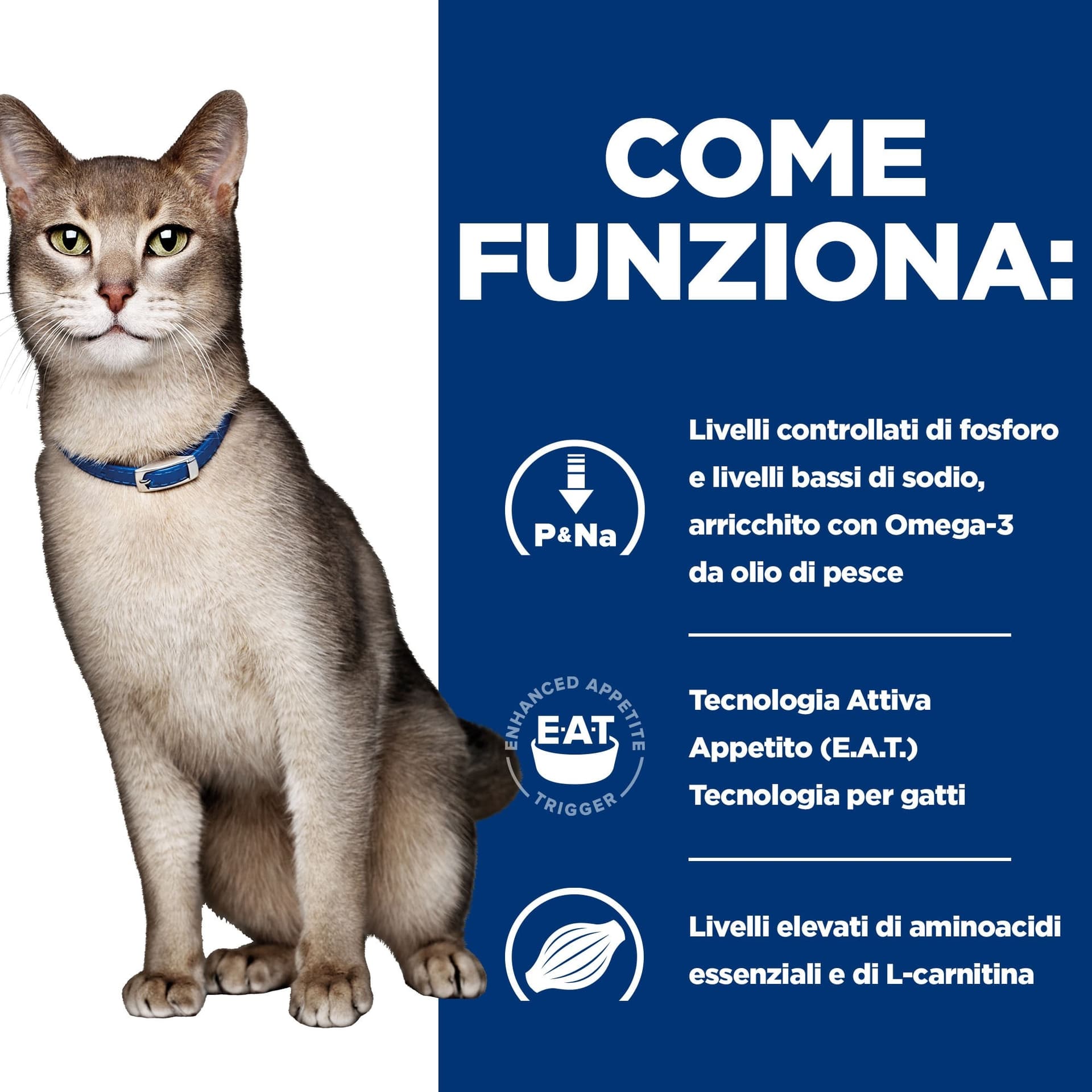 Hill's Prescription Diet Kidney Care umido Gatti Adulti salmone 85 gr in Umido 101 Market - Poggibonsi, commercioVirtuoso.it