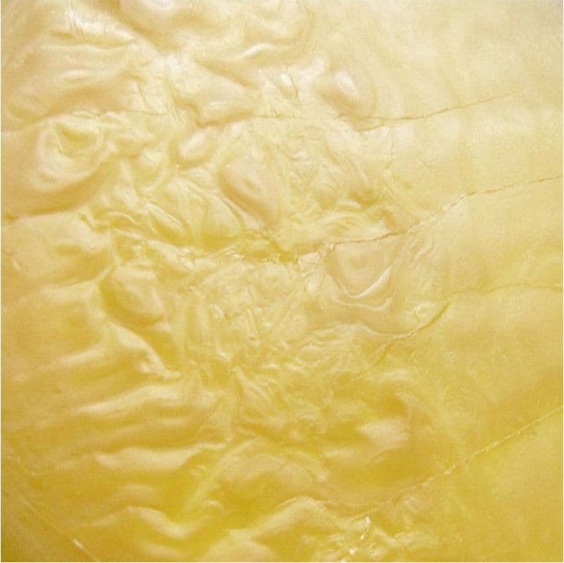 Ebano 1000ml Grasso Aquila naturale per il trattamento di pelle e cuoio in Lucido per scarpe Aloiserw.com - Altomonte, commercioVirtuoso.it