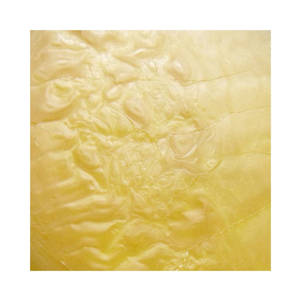 Ebano 1000ml Grasso Aquila naturale per il trattamento di pelle e cuoio in Lucido per scarpe Aloiserw.com - Altomonte, commercioVirtuoso.it