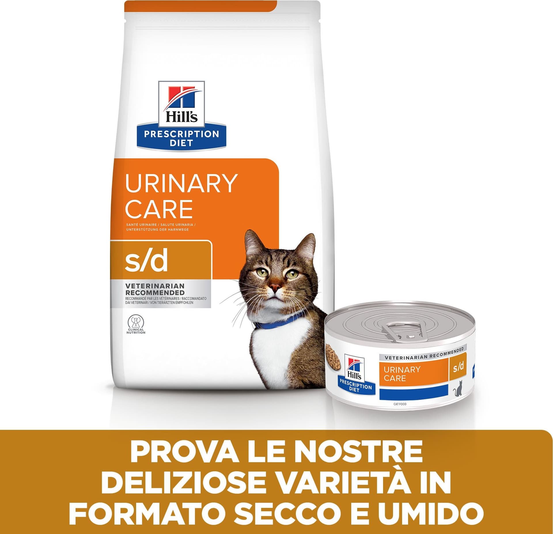 Hill's Prescription Diet Urinary Care s/d secco Gatti Adulti pollo 1,5 kg in Secco 101 Market - Poggibonsi, commercioVirtuoso.it