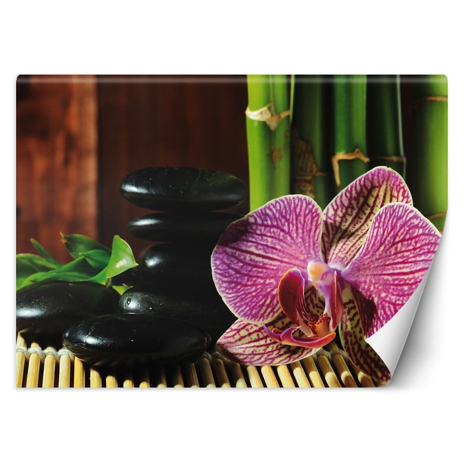 Carta Da Parati, Orchidea pietre zen e bambù in Carta da parati Collezione Casa - Trebisacce, commercioVirtuoso.it