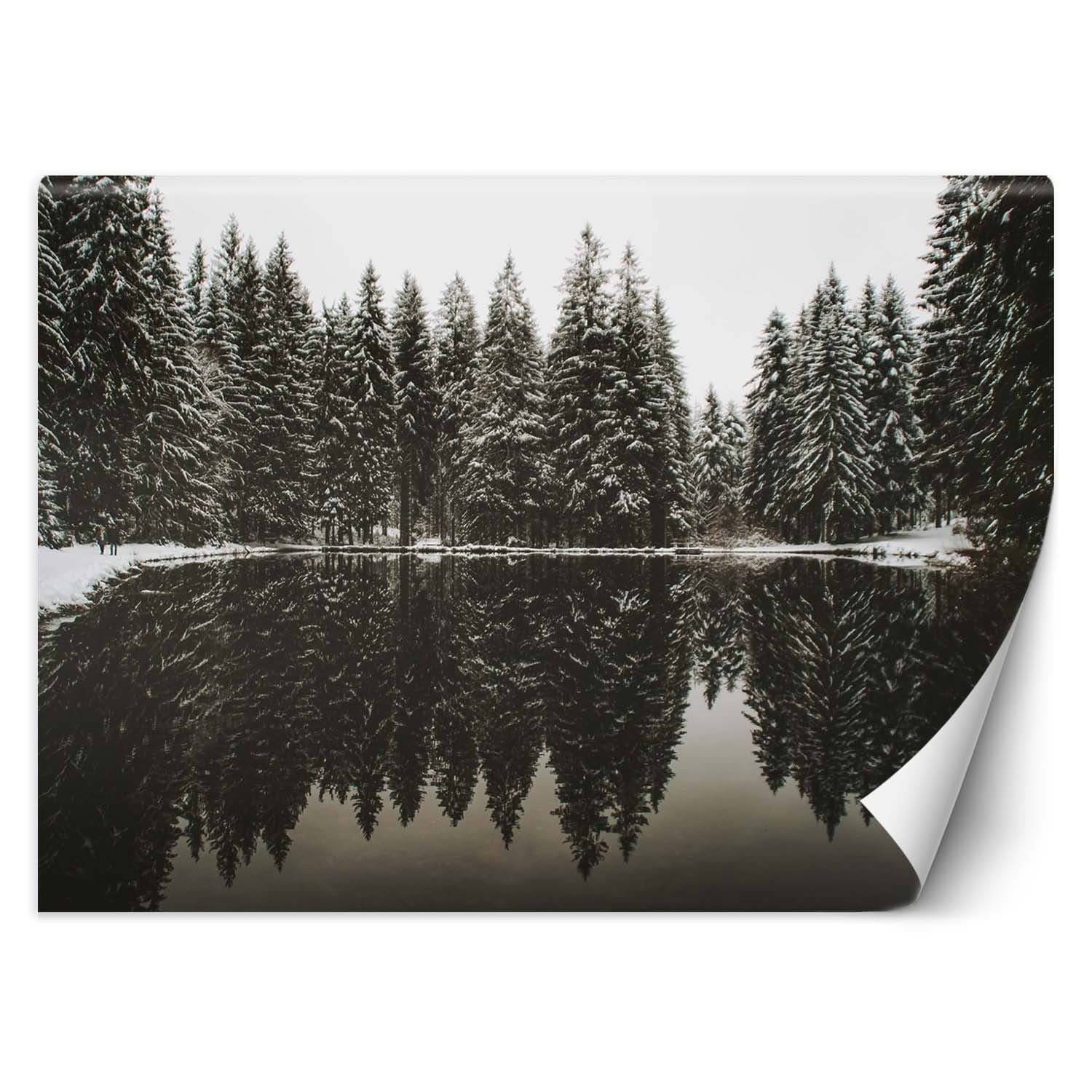 Carta Da Parati, Lago nella foresta in inverno in Carta da parati Collezione Casa - Trebisacce, commercioVirtuoso.it