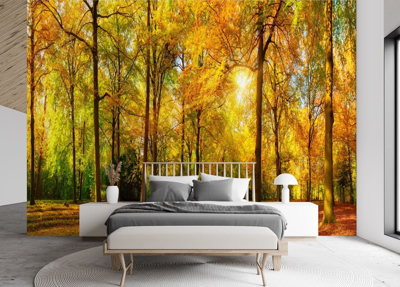 Carta Da Parati, Autunno Foresta Natura in Carta da parati Collezione Casa - Trebisacce, commercioVirtuoso.it