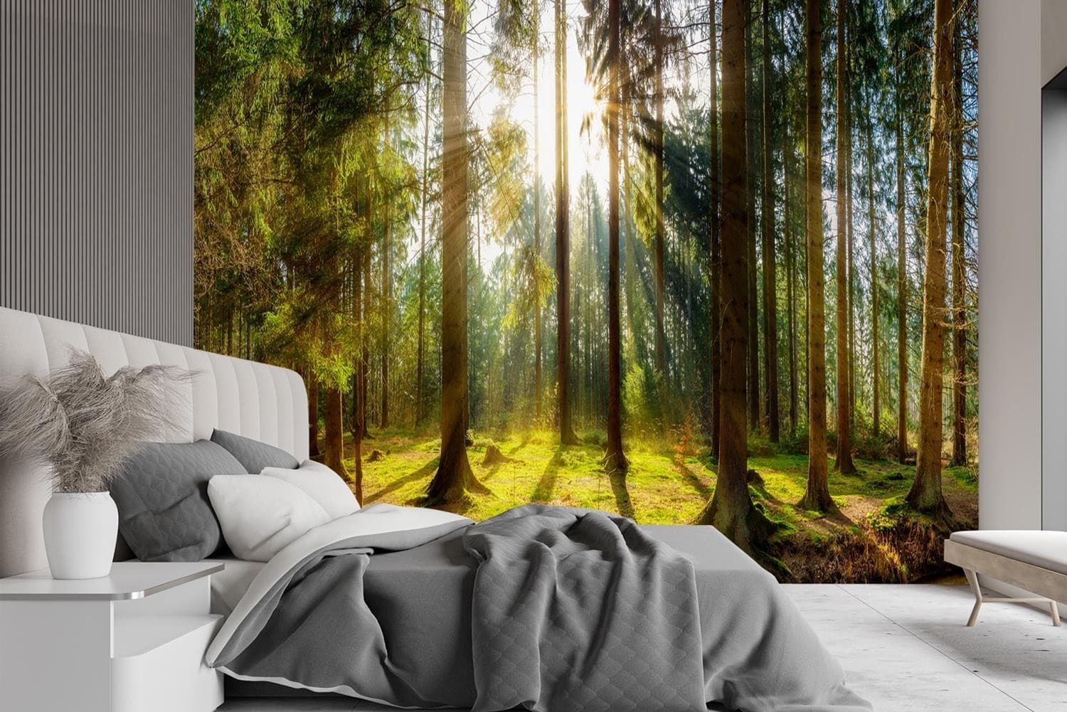Carta Da Parati, Foresta in pieno sole in Carta da parati Collezione Casa - Trebisacce, commercioVirtuoso.it