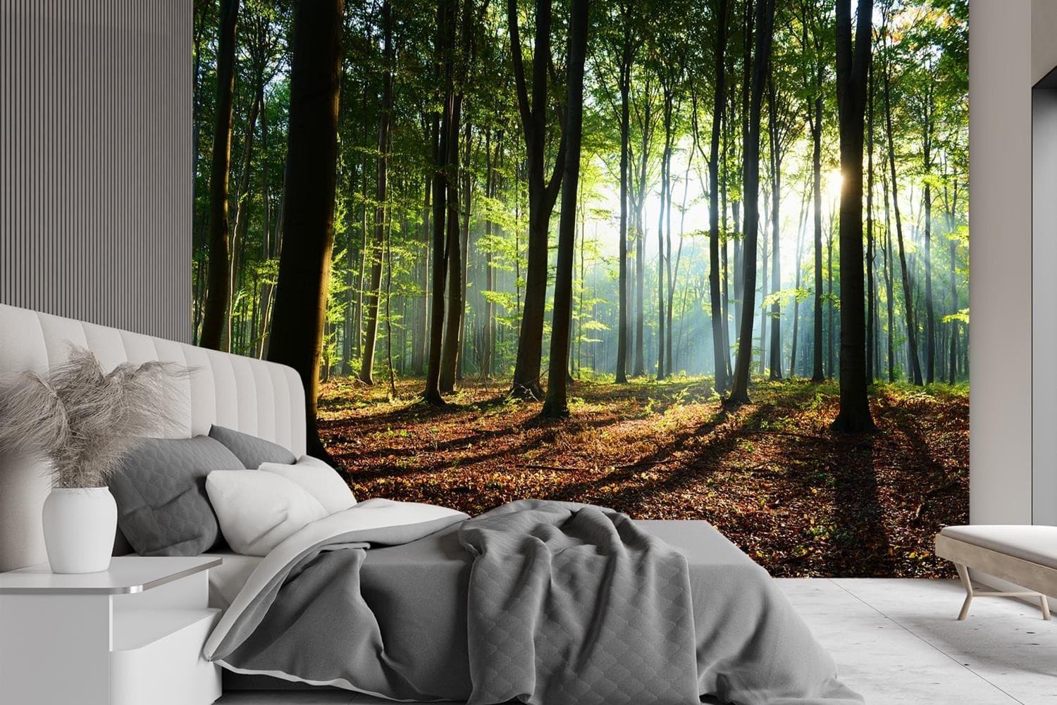 Carta Da Parati, Mattina in una foresta in Carta da parati Collezione Casa - Trebisacce, commercioVirtuoso.it