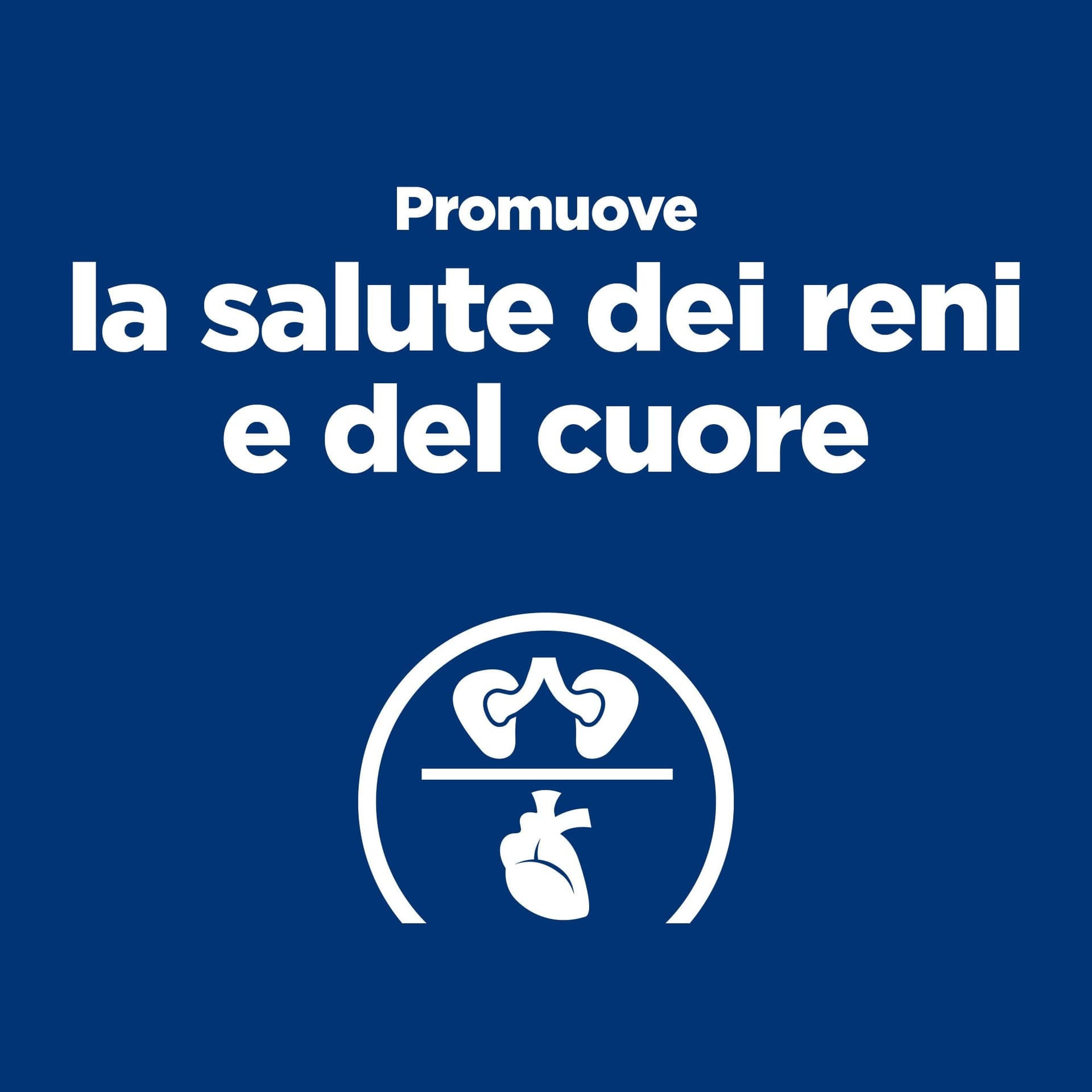 Hill's Prescription Diet Y/D Thyroid Care umido Gatti Adulti pollo 156 gr in Umido 101 Market - Poggibonsi, commercioVirtuoso.it