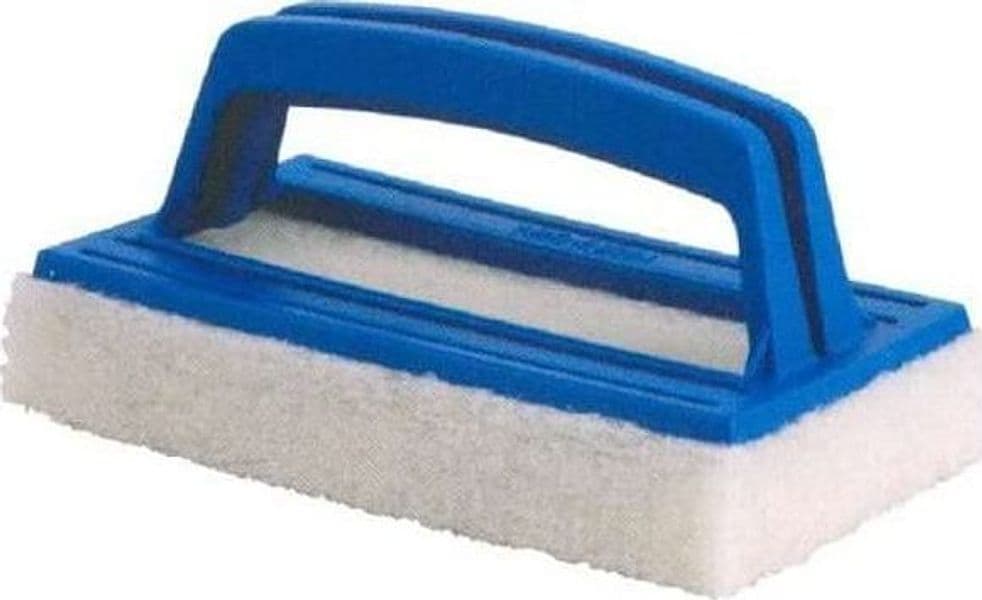 SPUGNA LAVASCIUGA SPAZZOLA TAMPONE PER PISCINA - cm.14x9x7h - FER 225113 in prodotto EuroStore07 - Alatri, commercioVirtuoso.it